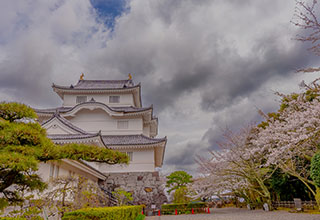 大多喜城の見どころ3