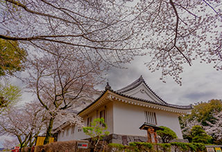 大多喜城の見どころ5