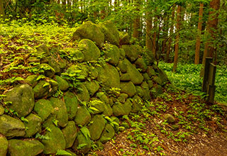 箕輪城の見どころ7