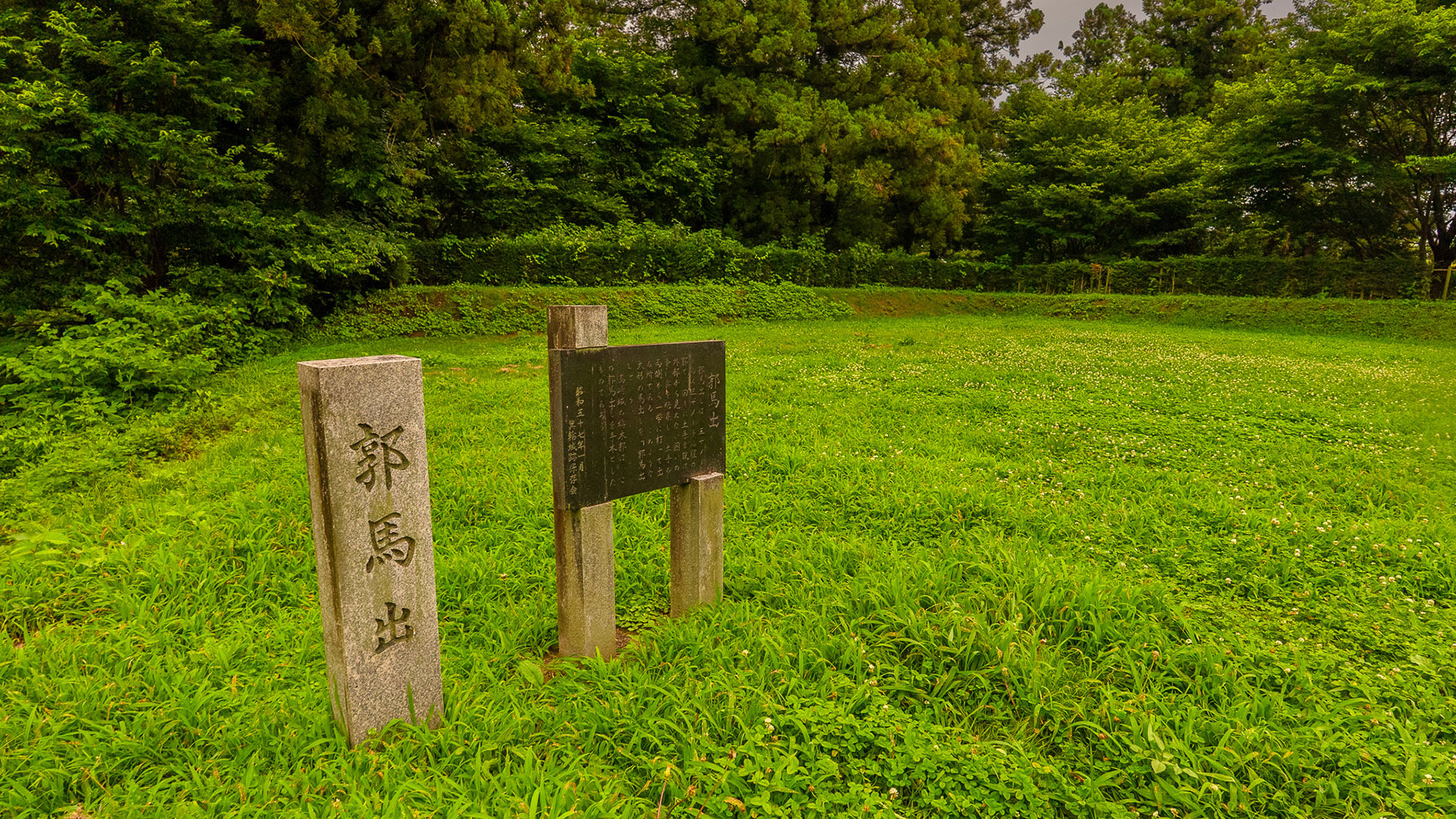 夏の箕輪城3