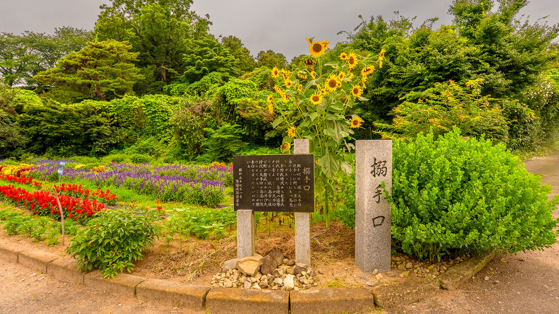夏の箕輪城10