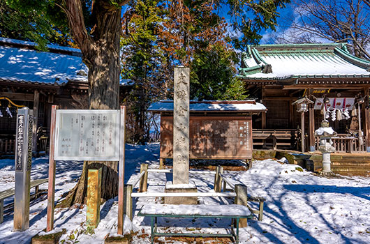 新田金山城
