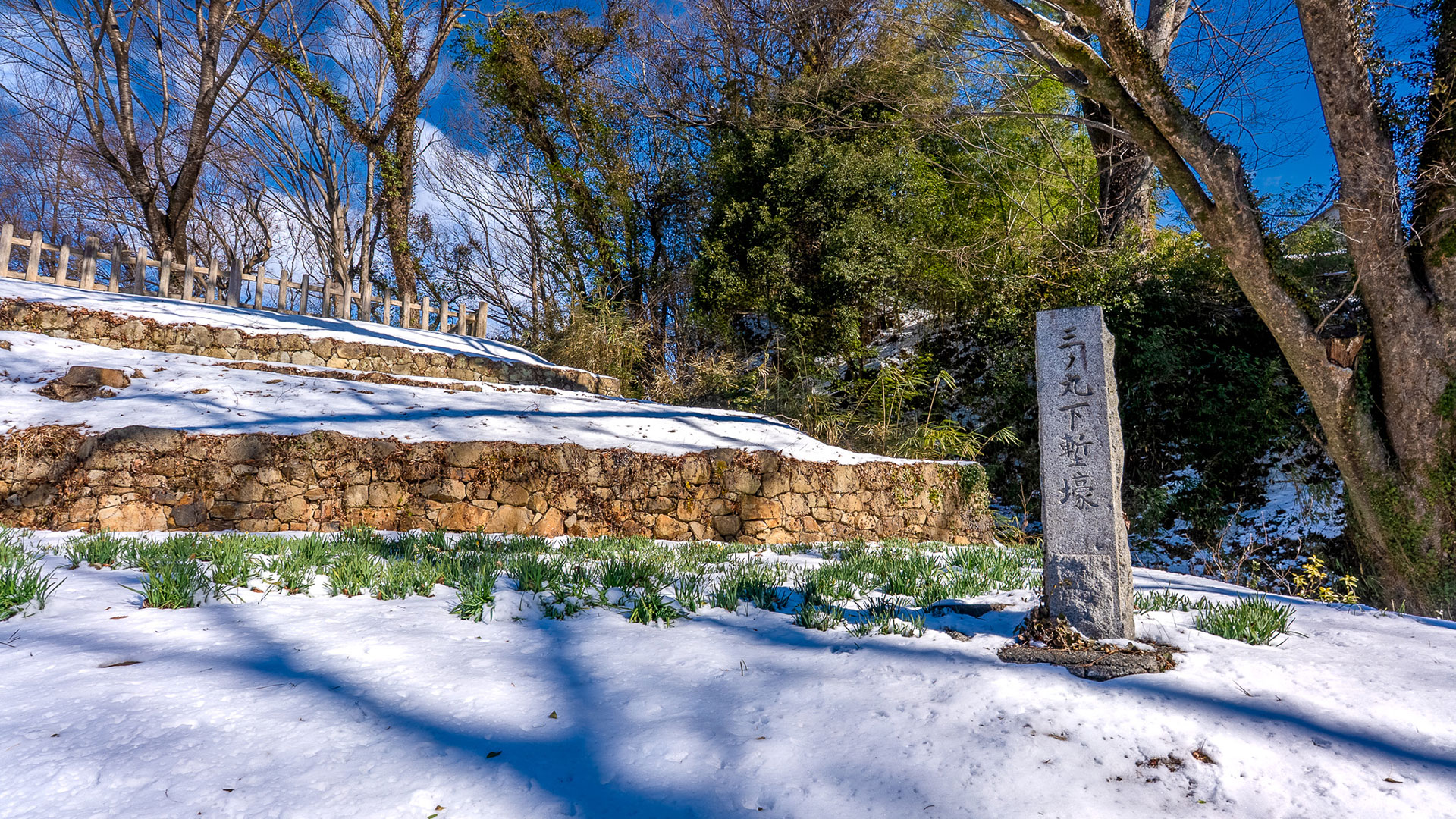 冬の新田金山城6