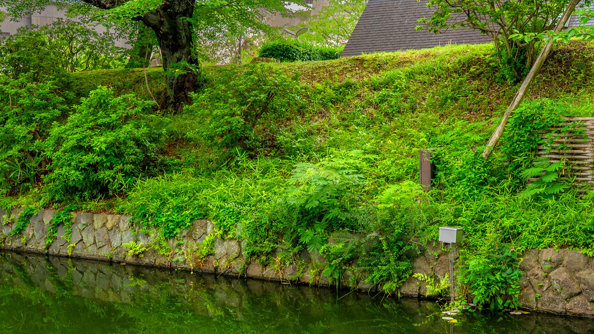 夏の高崎城5