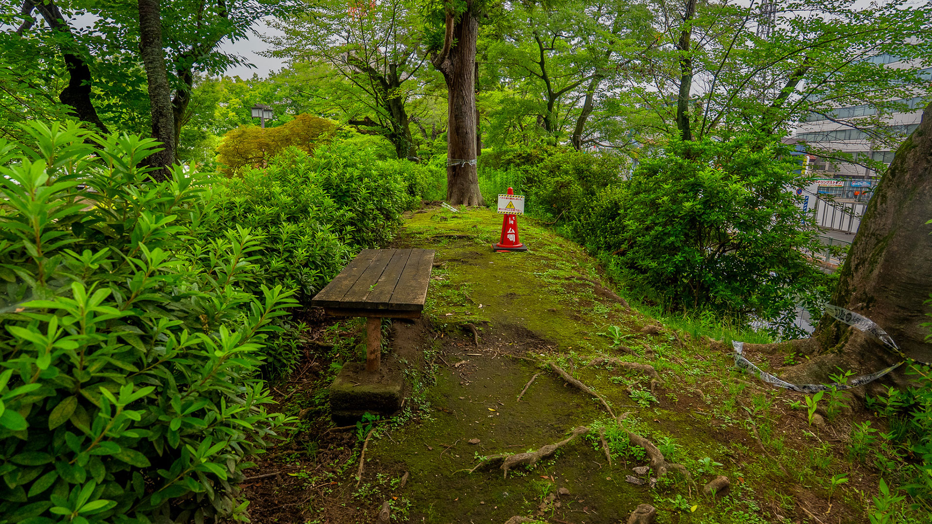 夏の高崎城8
