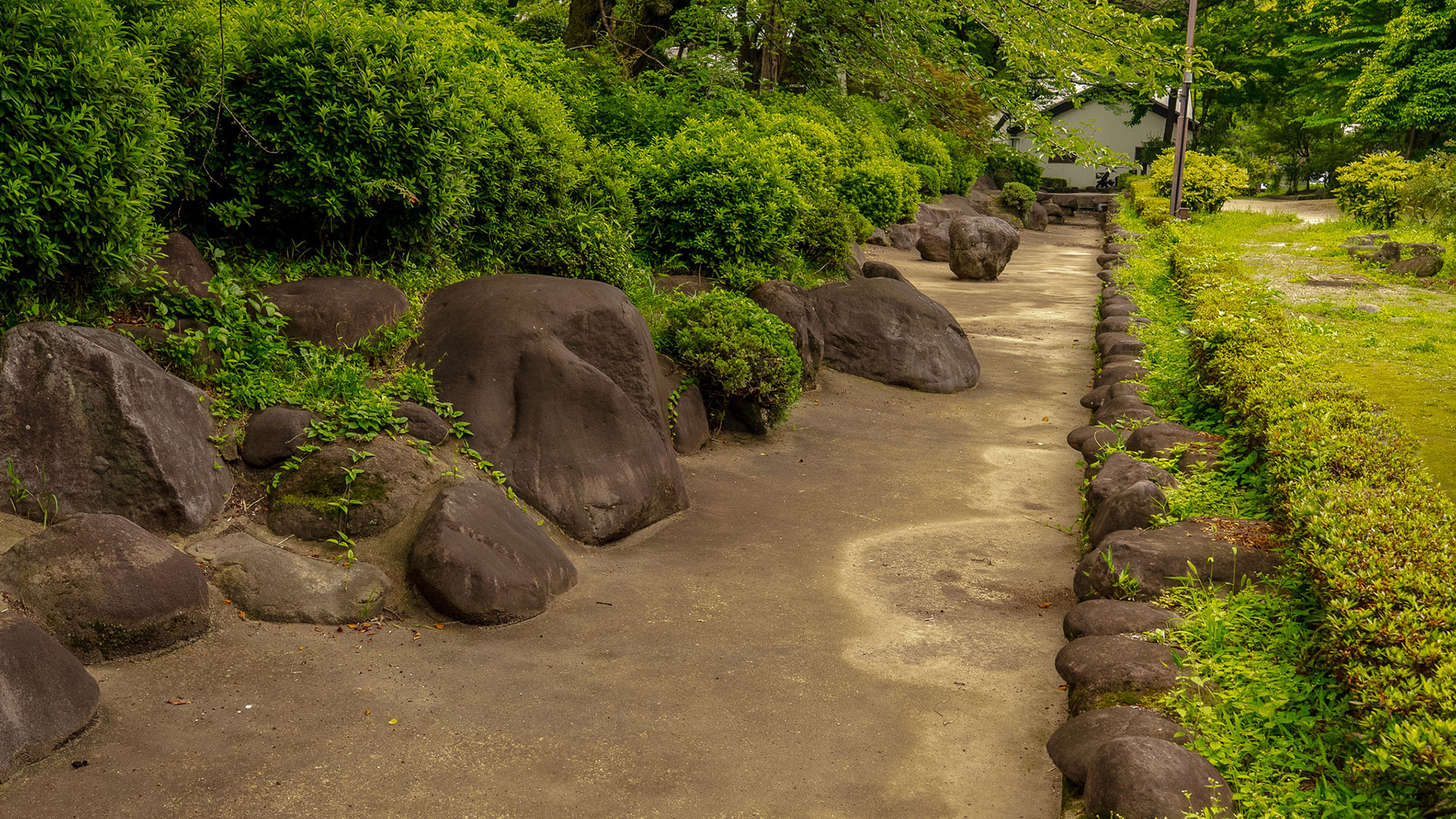 夏の高崎城9