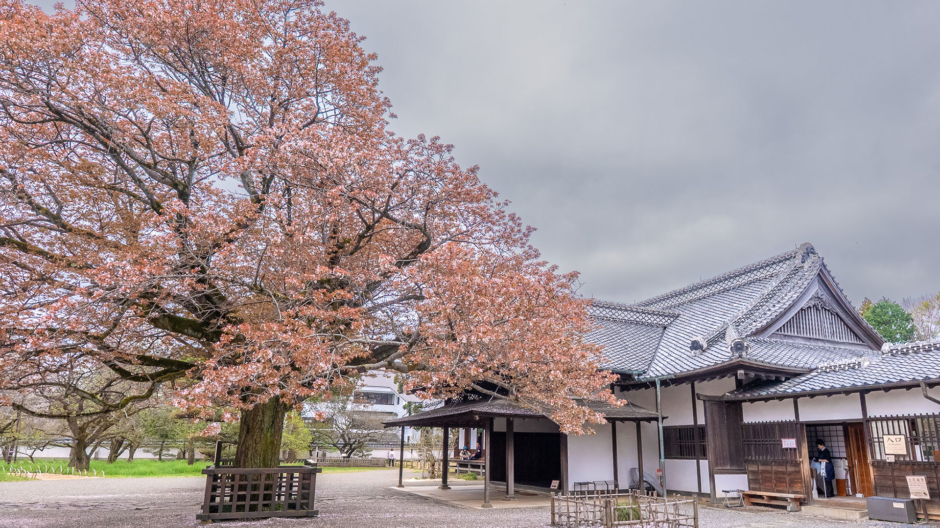 春の水戸城2