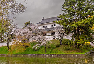 土浦城の見どころ4