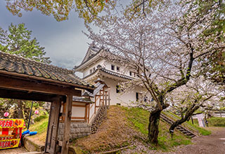 土浦城の見どころ5
