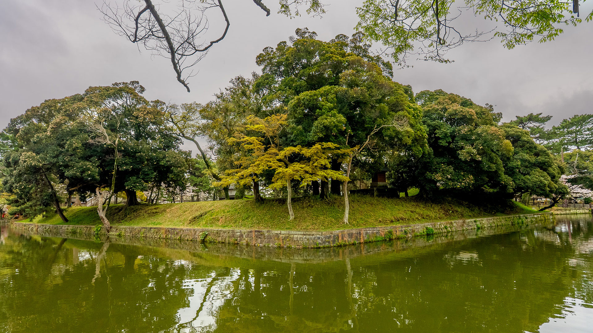 春の土浦城10