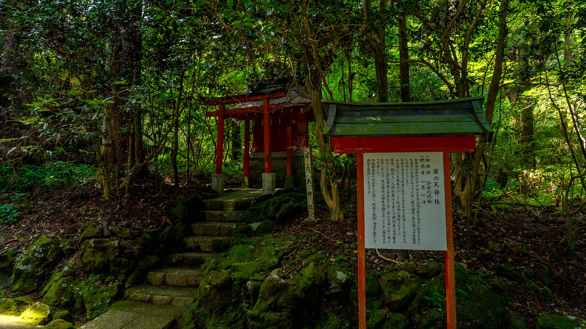 夏の箱根神社2