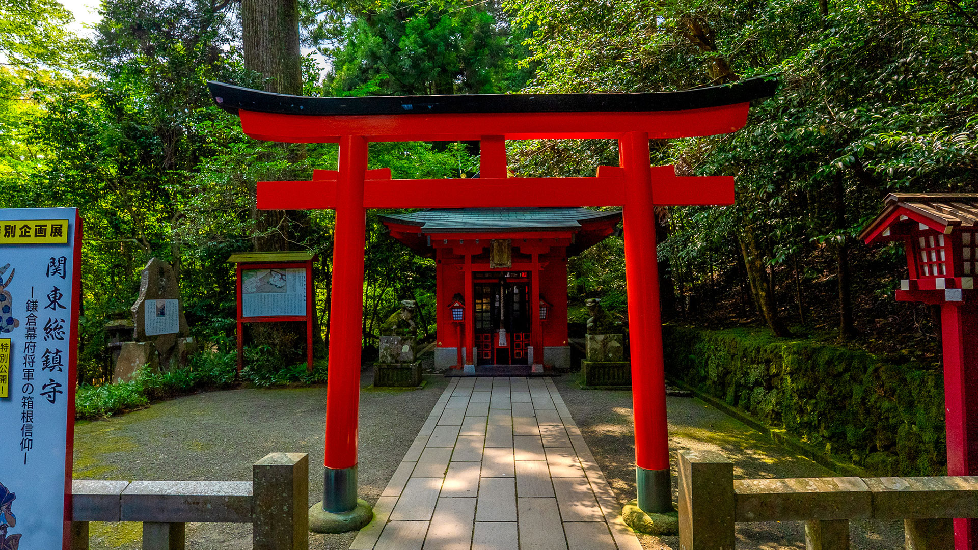 夏の箱根神社3