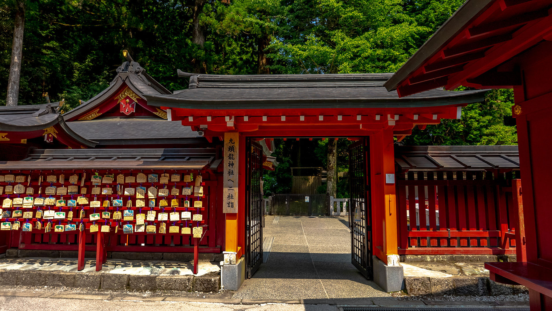 夏の箱根神社6