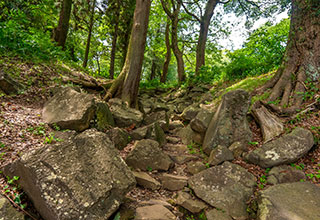 石垣山城の見どころ5