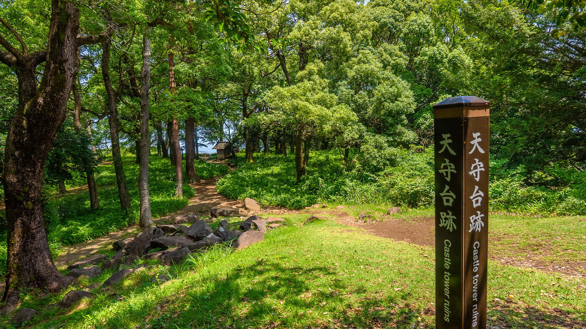夏の石垣山城6