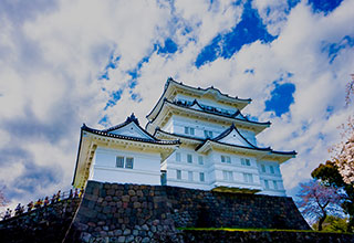 小田原城の見どころ2