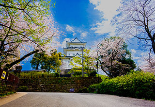 小田原城の見どころ3