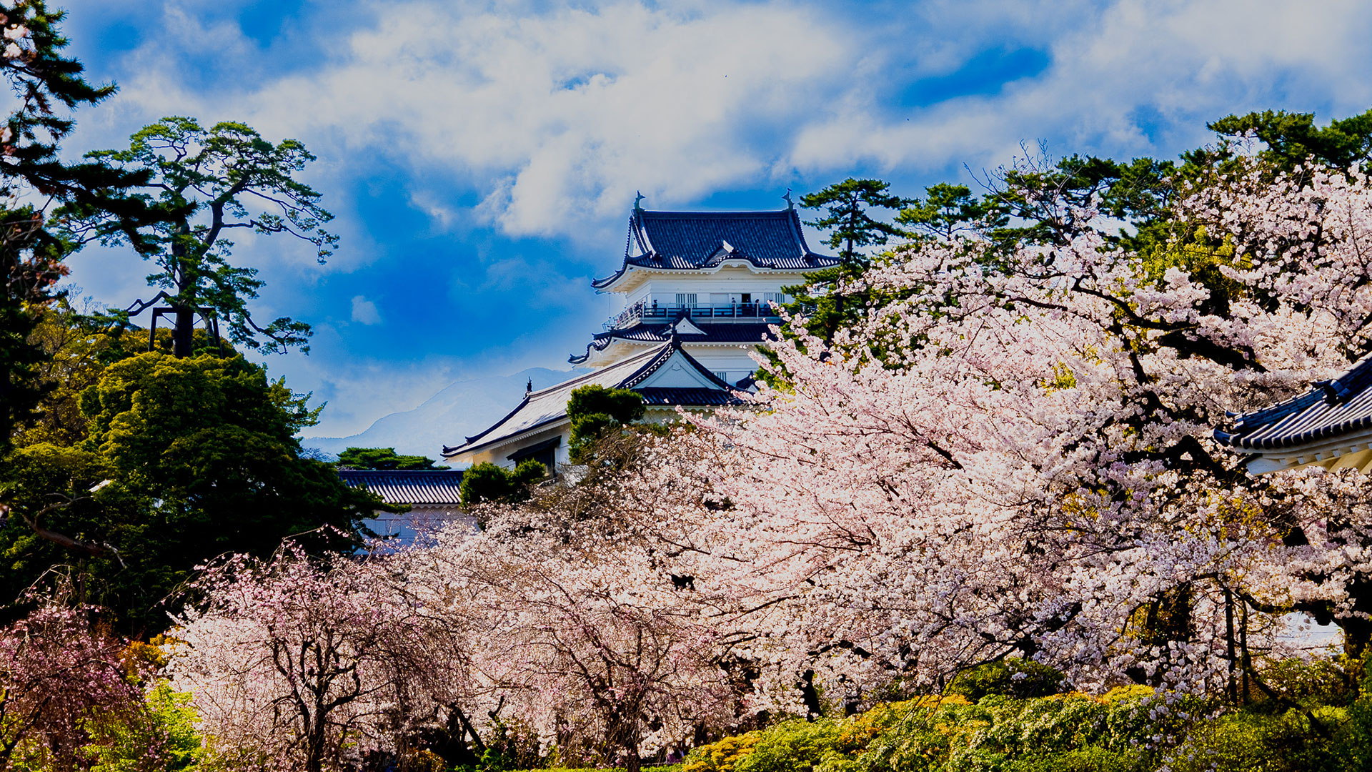 小田原城