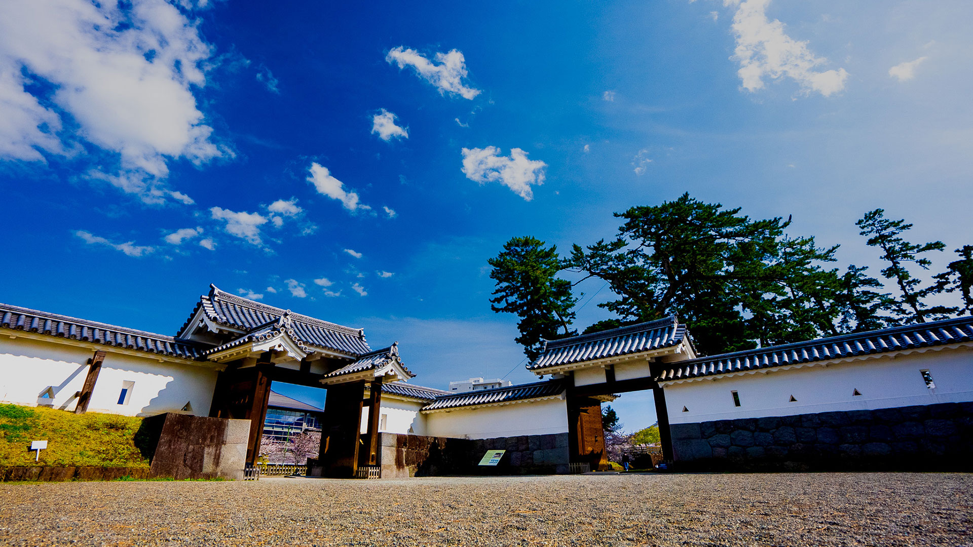 春の小田原城11