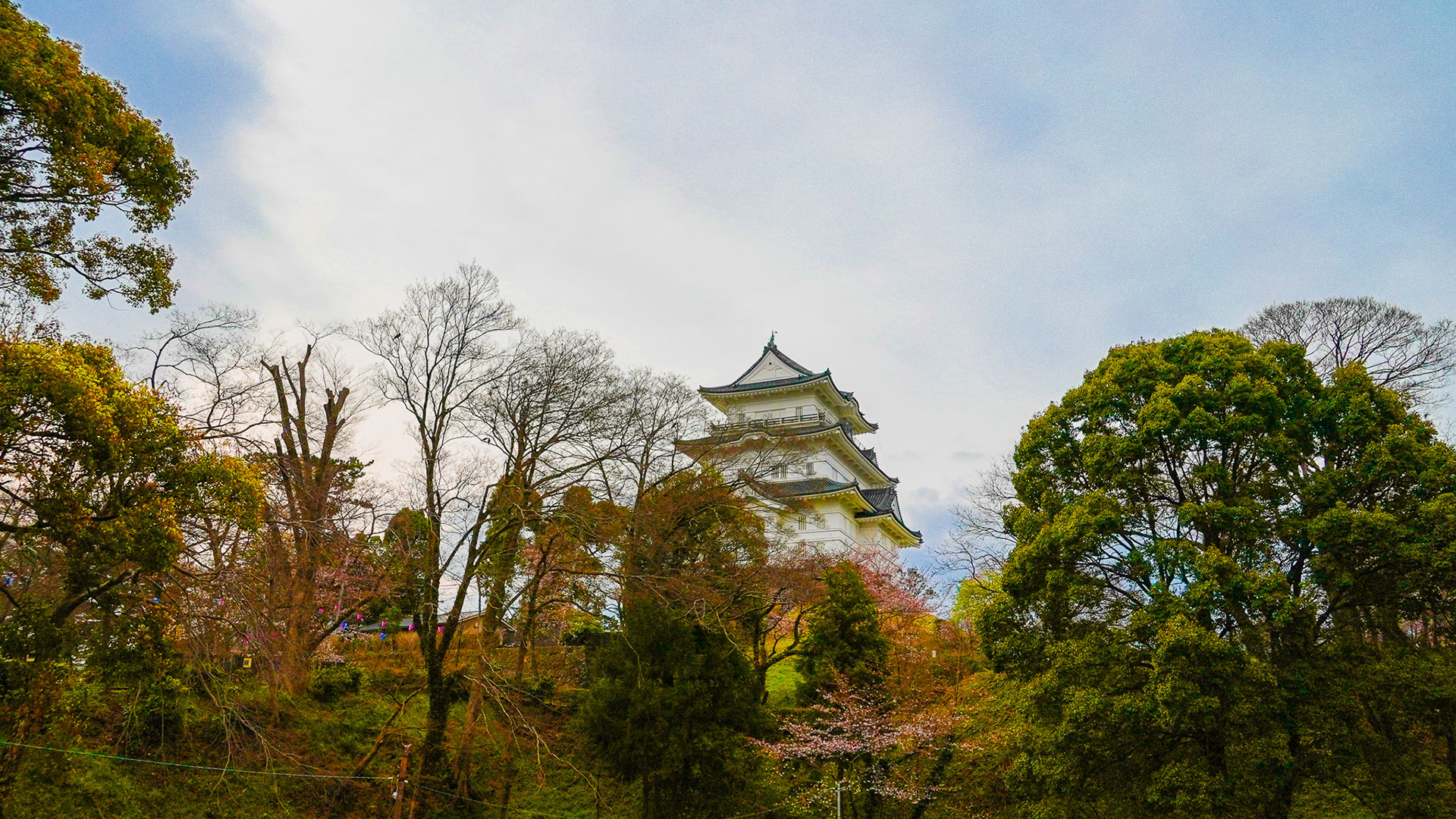 春の小田原城16