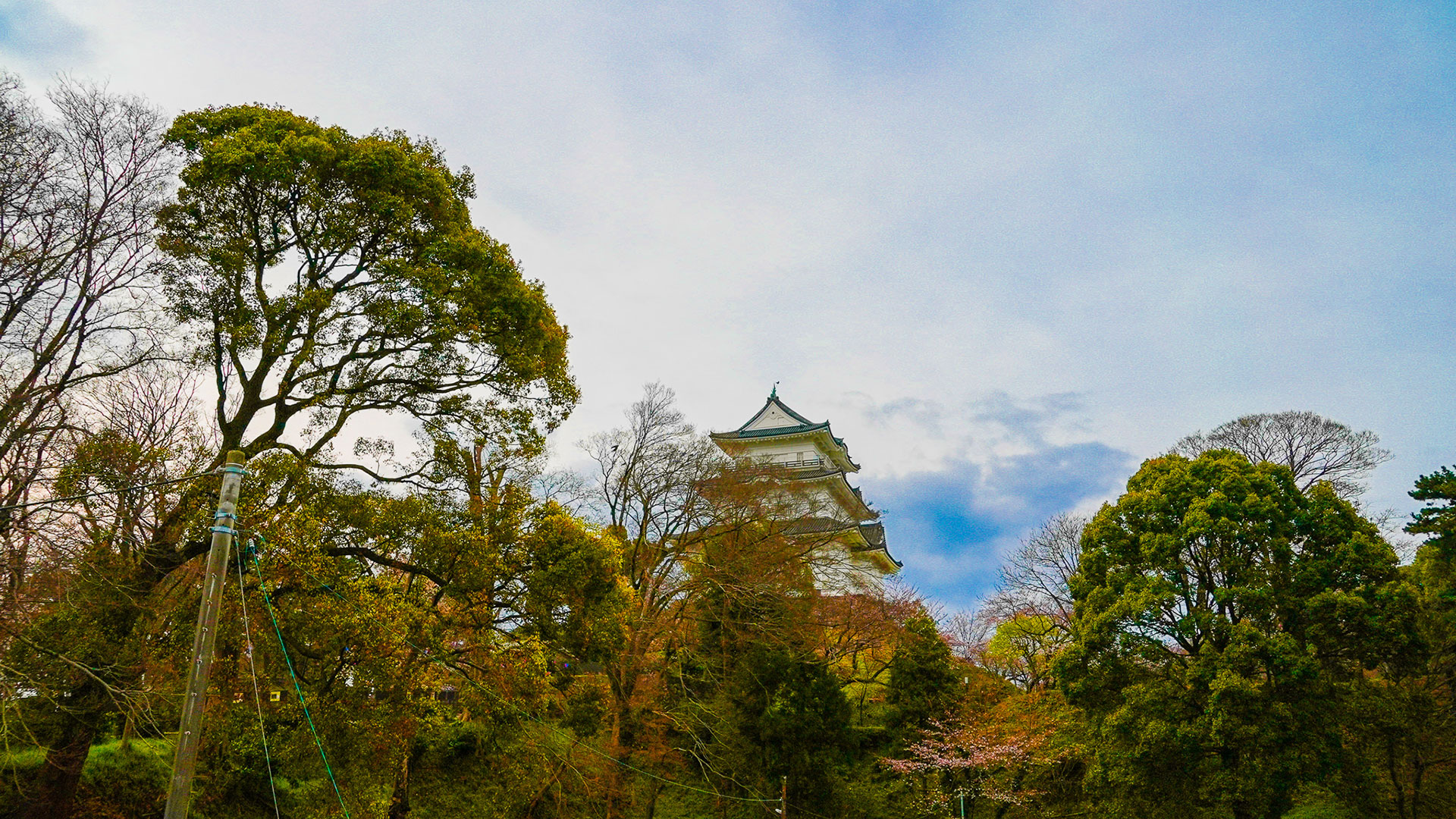春の小田原城17