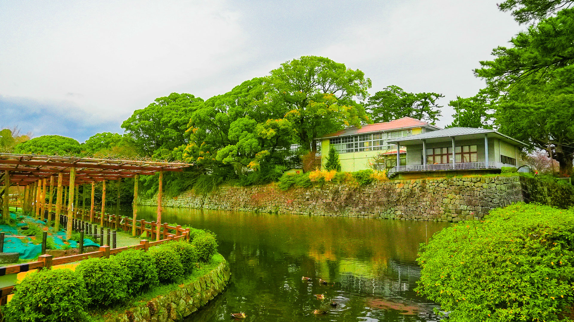 春の小田原城20