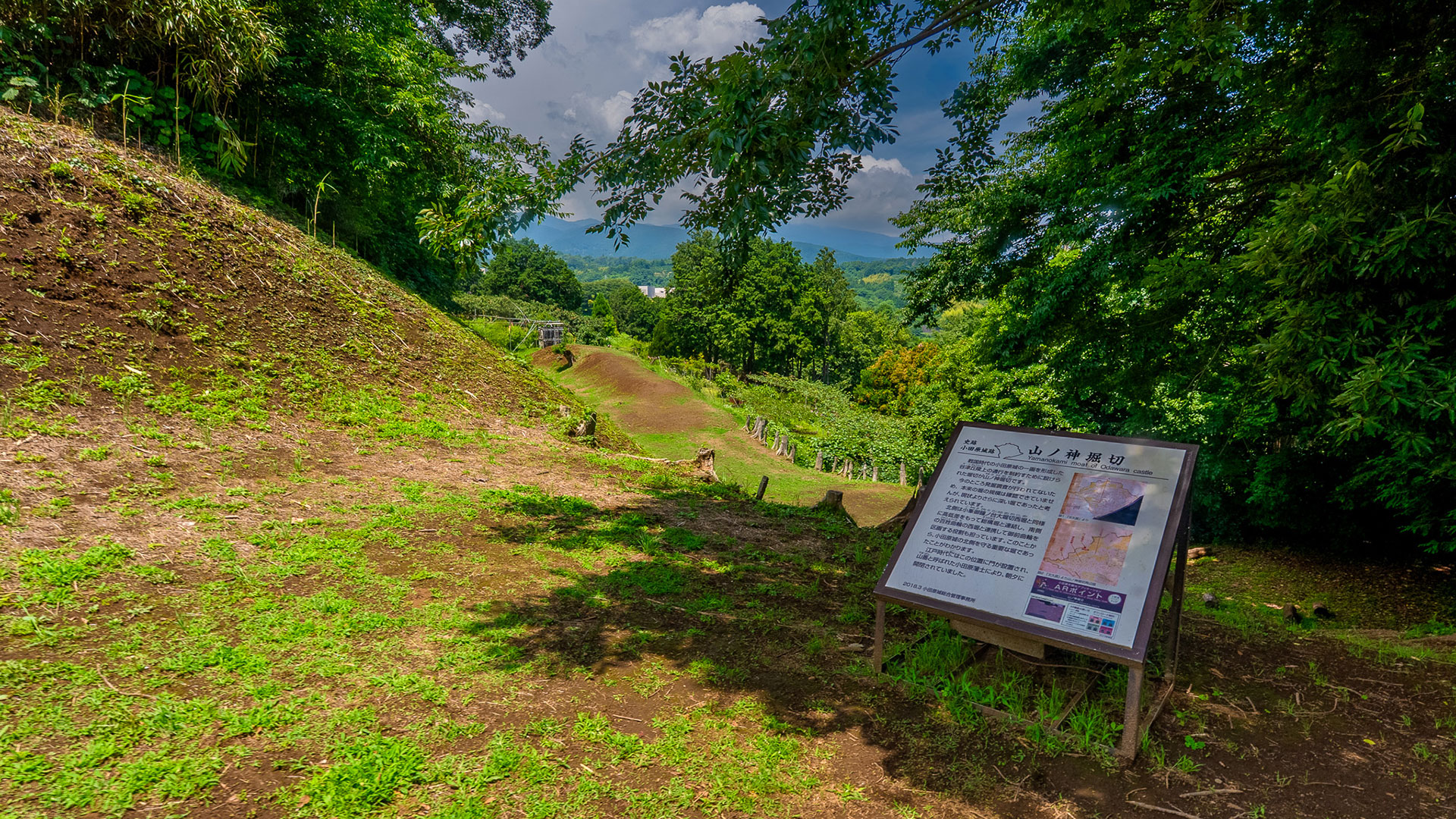 夏の小田原城5