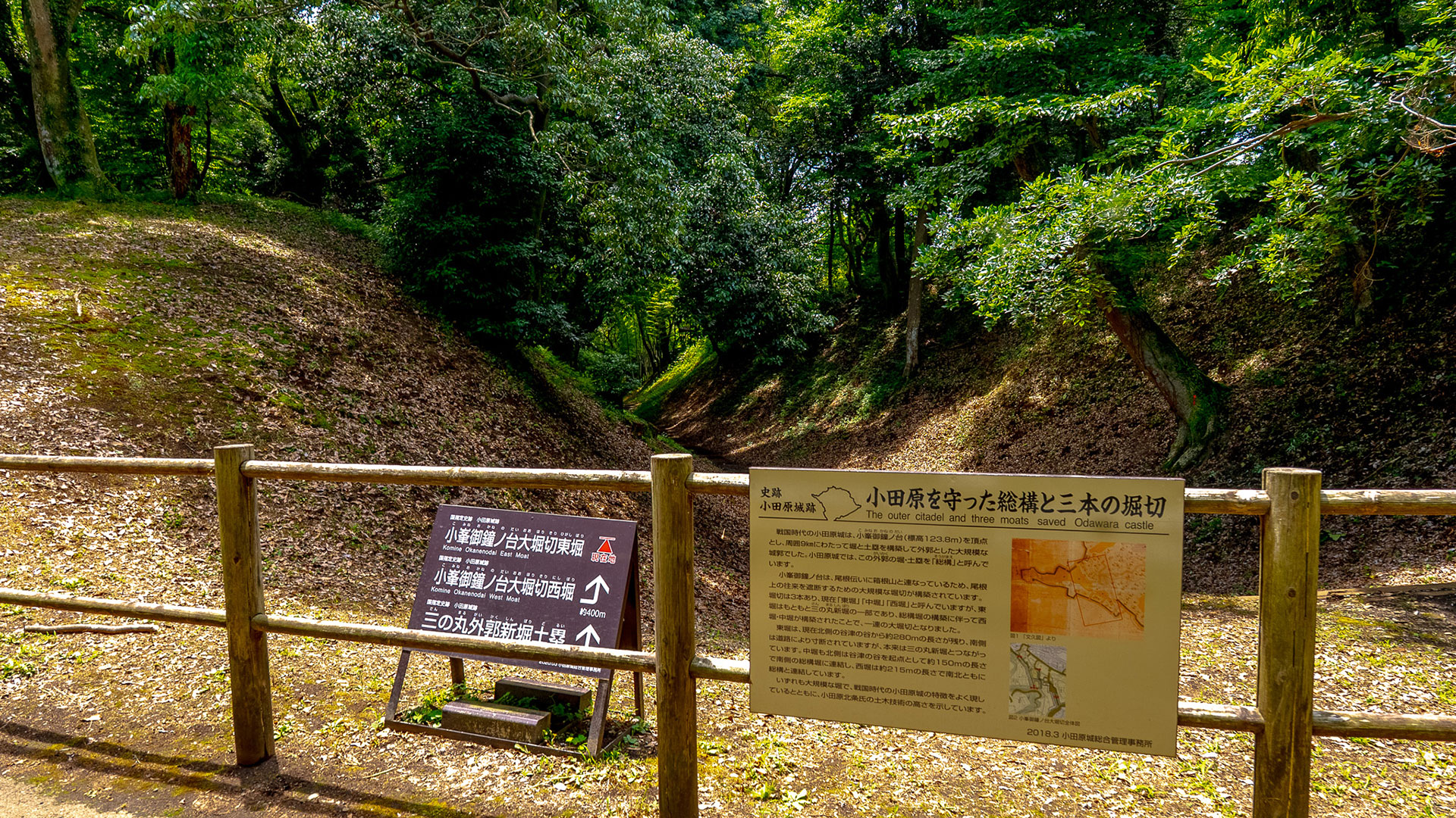 夏の小田原城6