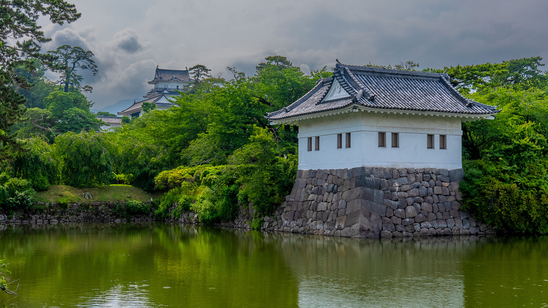 夏の小田原城8
