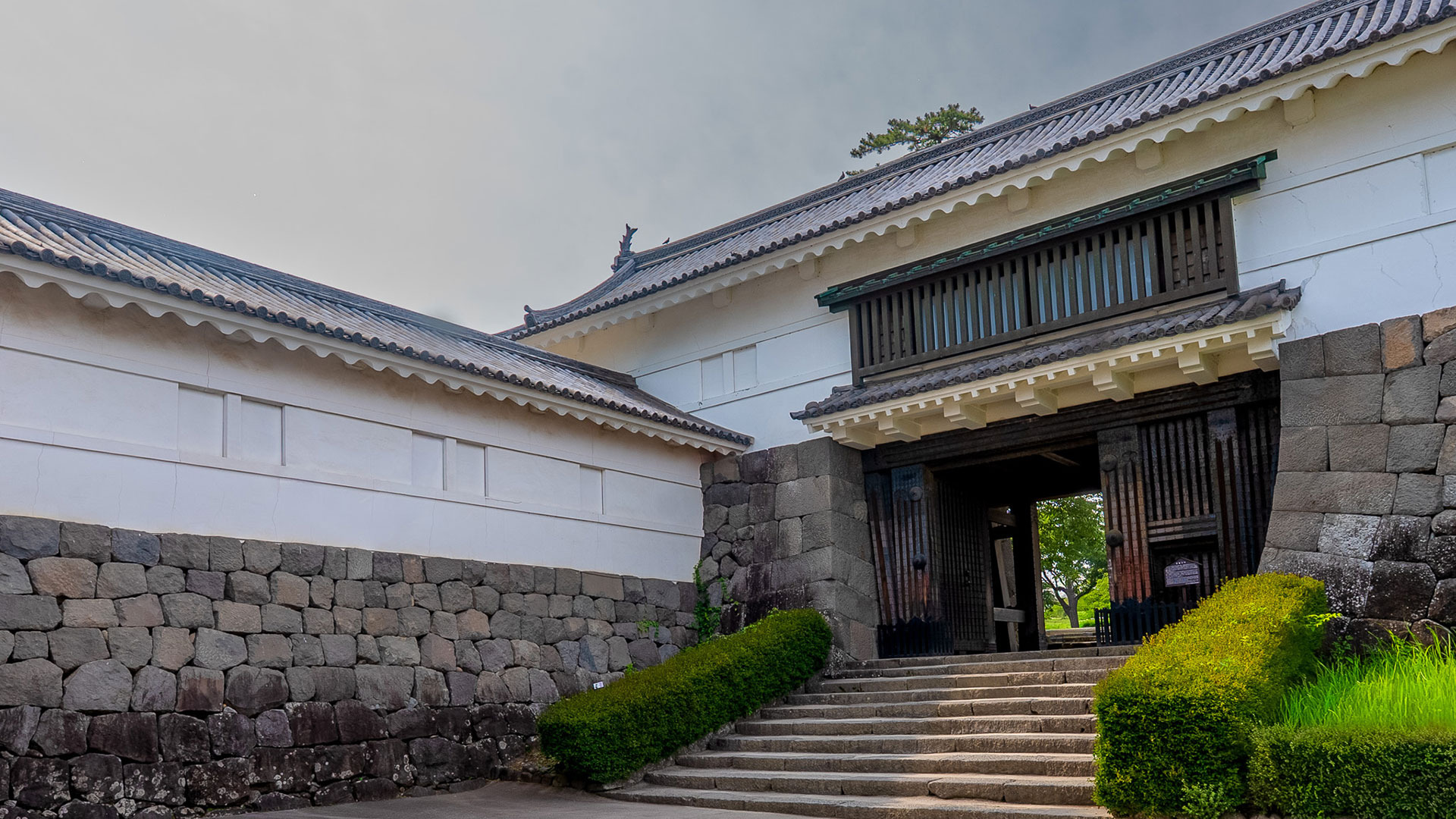 夏の小田原城9