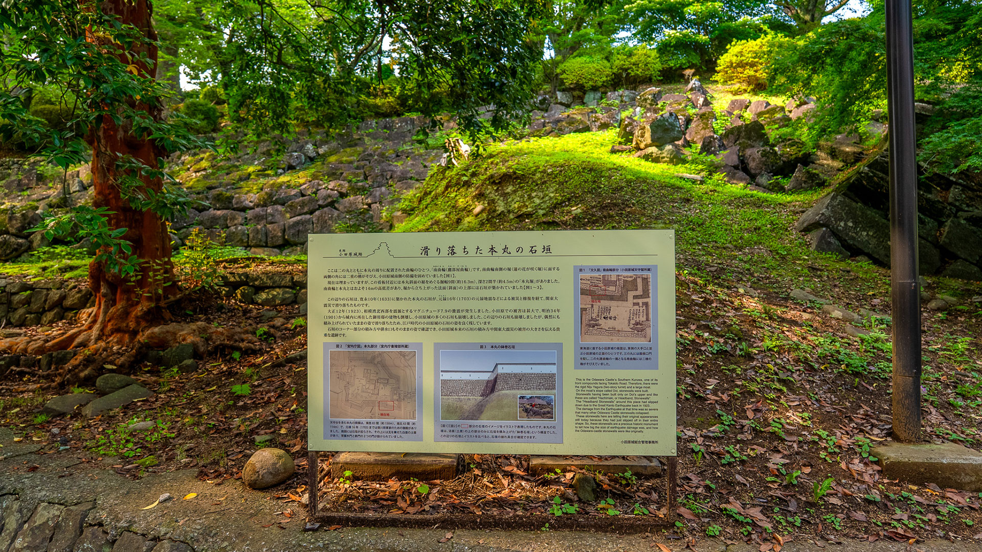 夏の小田原城10
