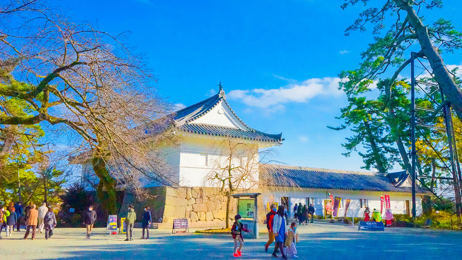 冬の小田原城11