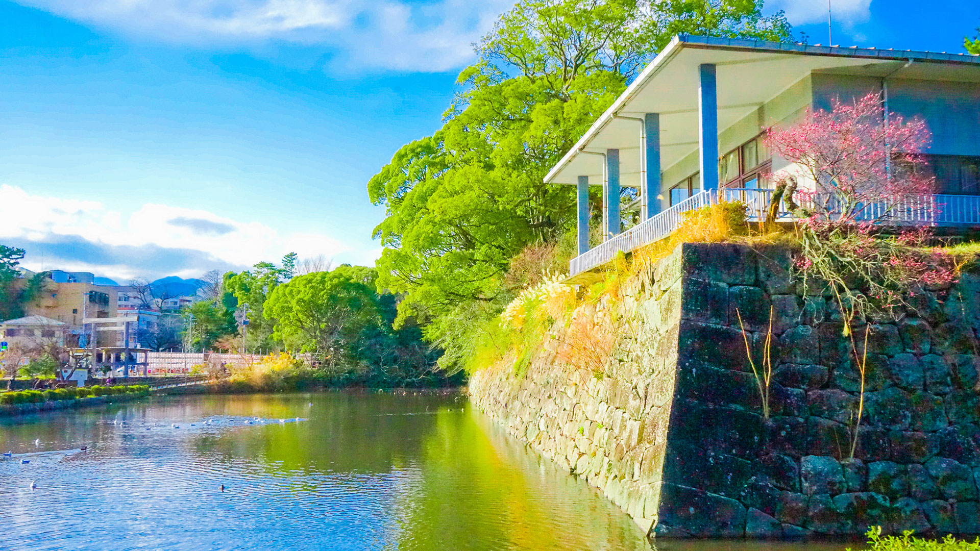 冬の小田原城12