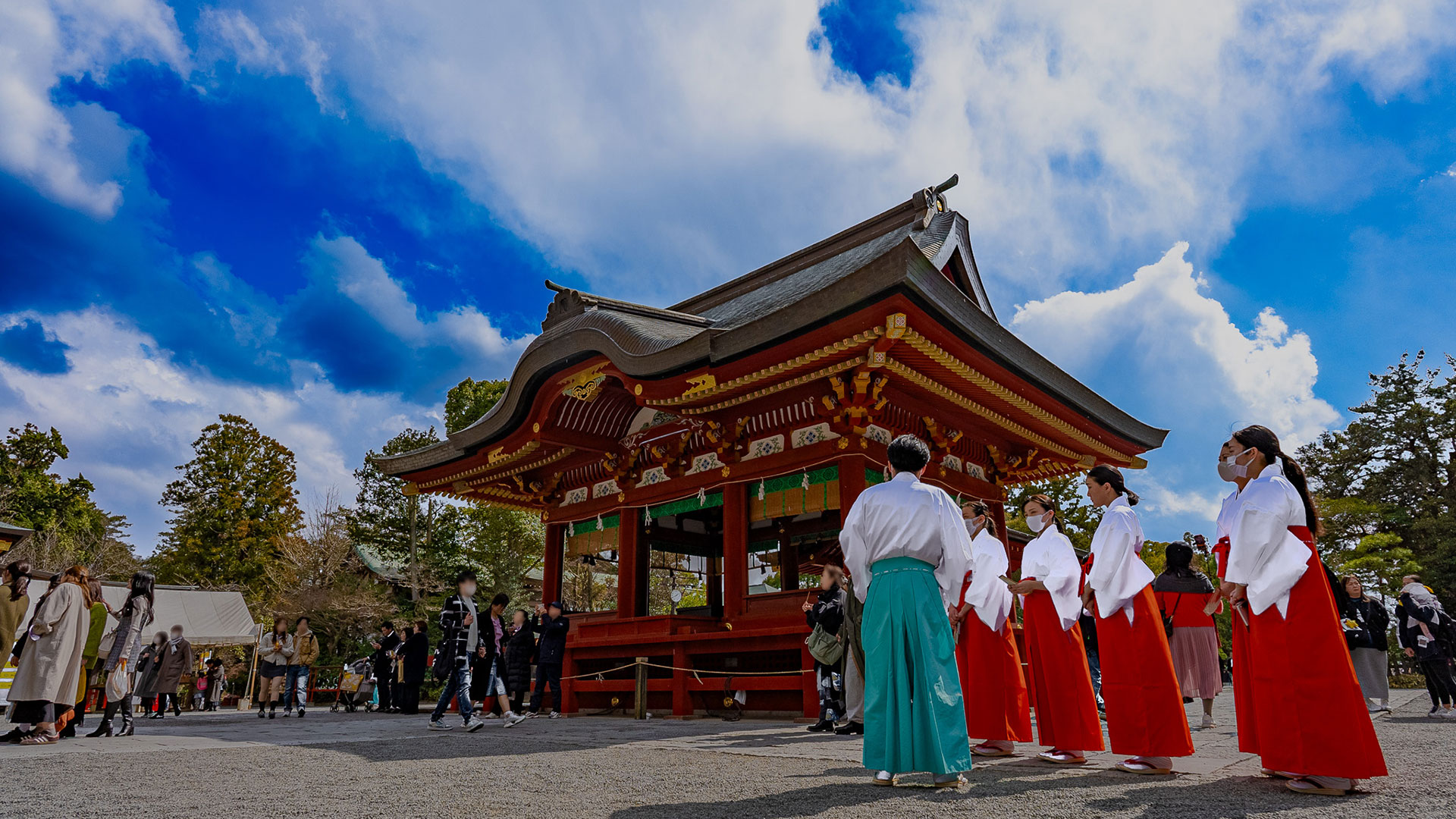 春の鶴岡八幡宮3