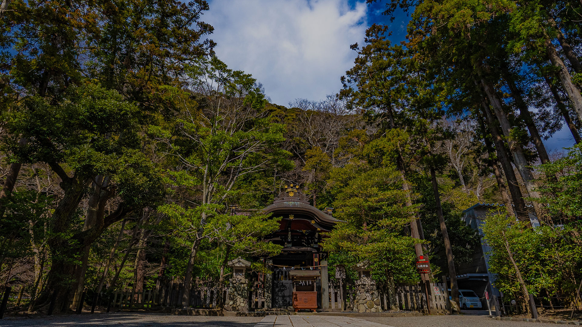春の鶴岡八幡宮4