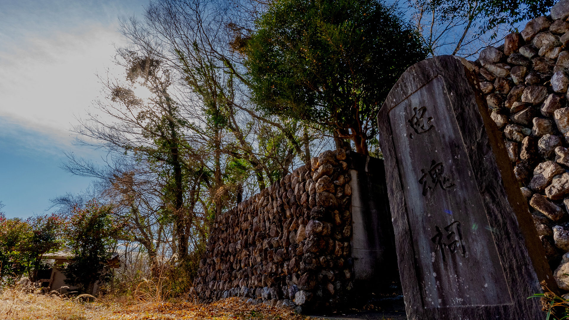 菅谷館|見どころ観光|歴史をわかりやすく解説|城写真の日本の旅侍