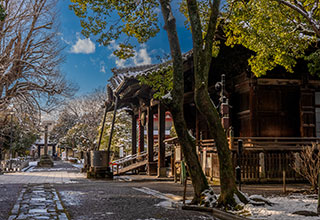 足利氏館の見どころ6
