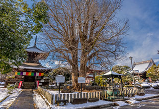 足利氏館の見どころ12