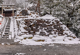 唐沢山城跡の見どころ1