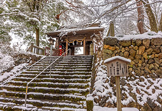 唐沢山城跡の見どころ3