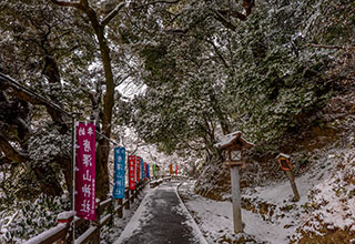 唐沢山城跡の見どころ4