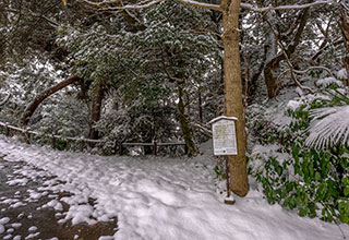 唐沢山城跡の見どころ5