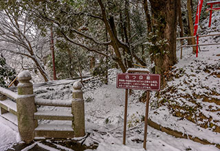 唐沢山城跡の見どころ6