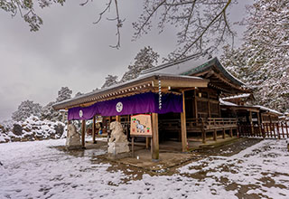 唐沢山城跡の見どころ8