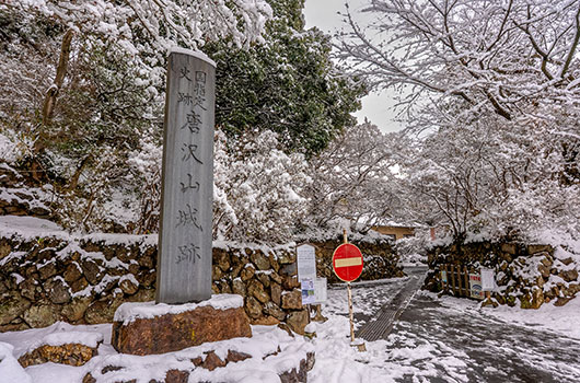 唐沢山城跡