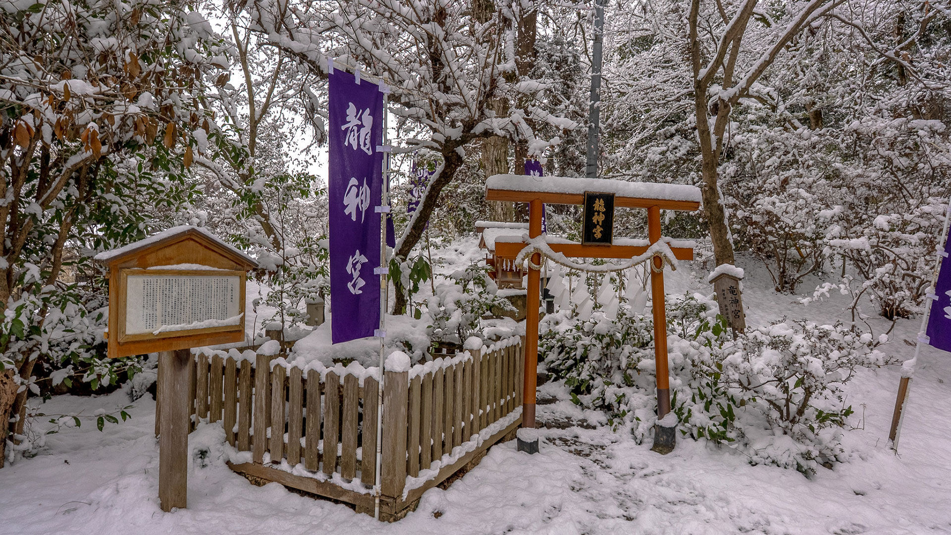 冬の唐沢山城跡4