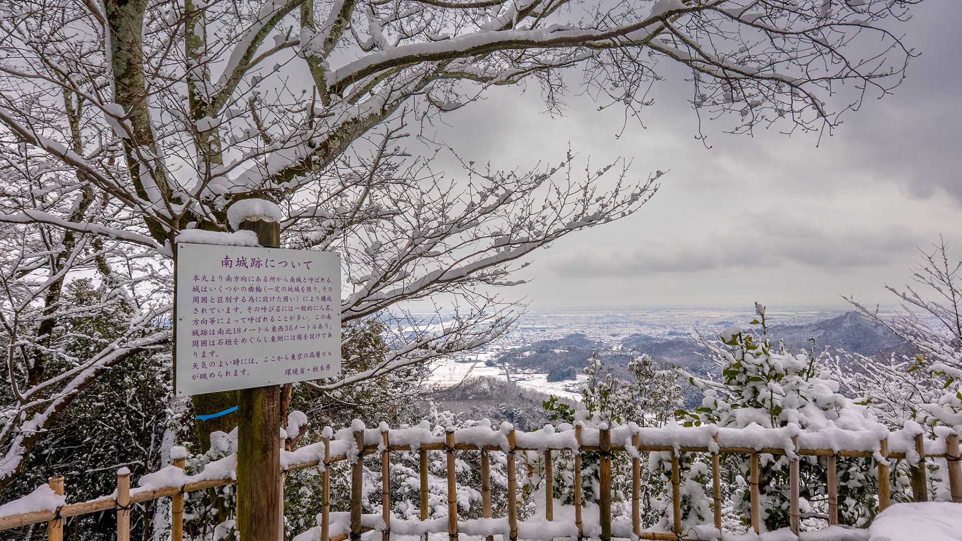 冬の唐沢山城跡7