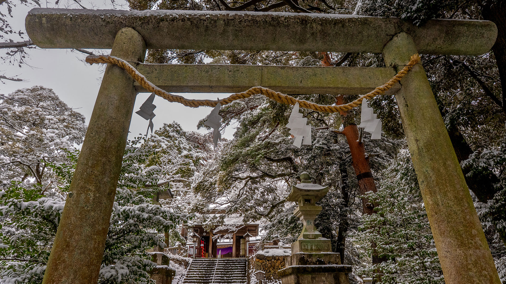 冬の唐沢山城跡8