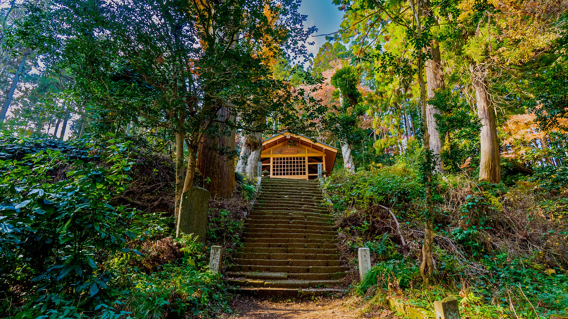 冬の八王子城10