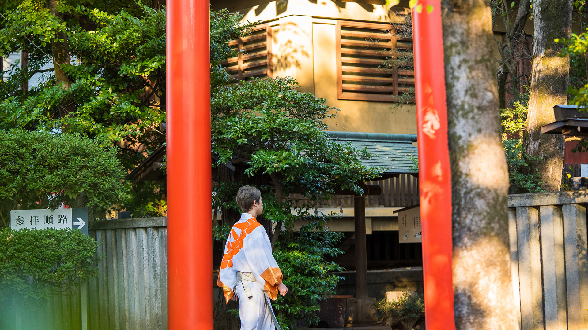 秋の井草八幡宮4